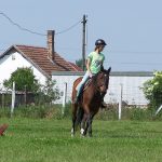 Lovas edzések iskolások részére lovagolni gyerekek Debrecen